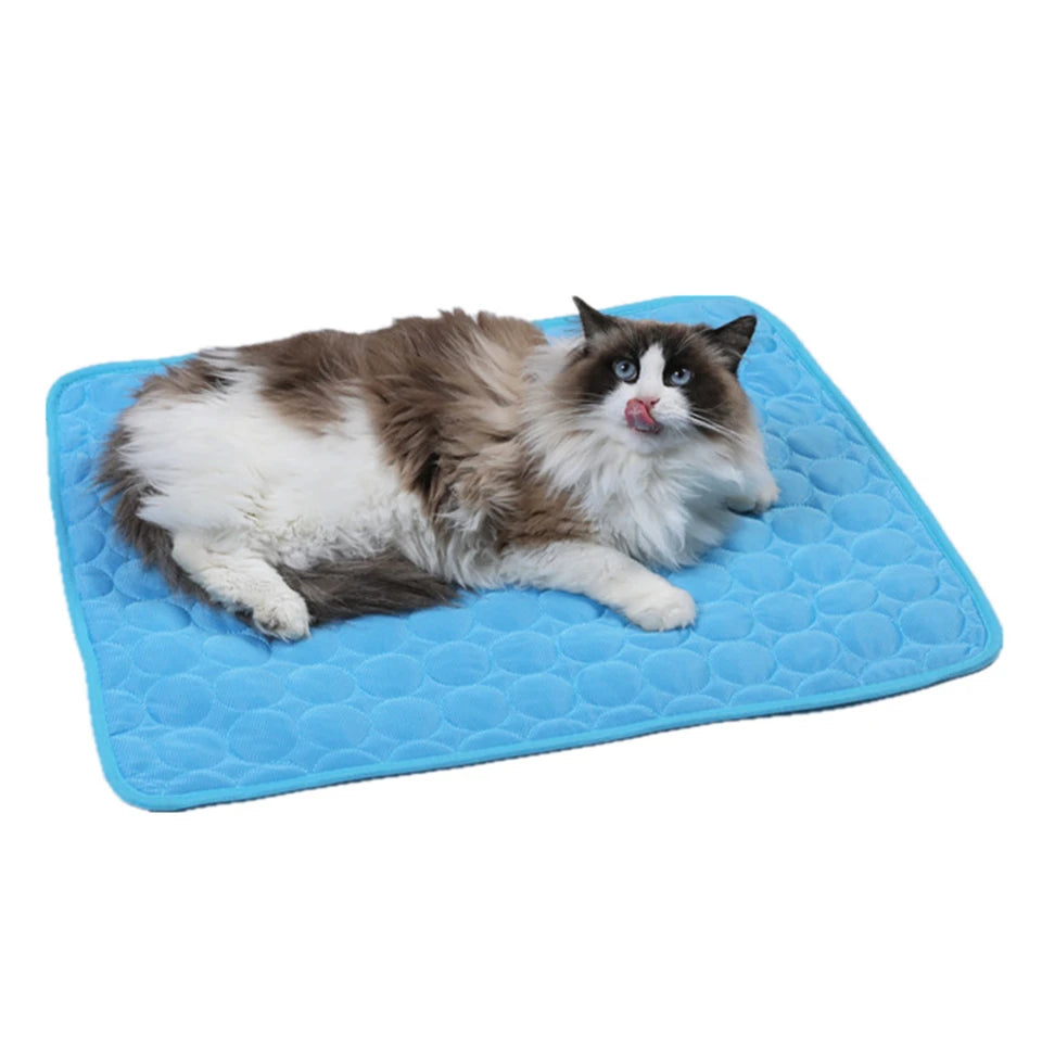 🔥Hot Sale 49% OFF - Dog Cooling Mat (4x more effective)