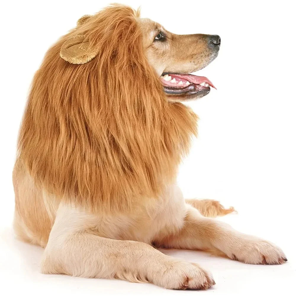 Lion Mane Dog Costume – Realistic Wig with Ears