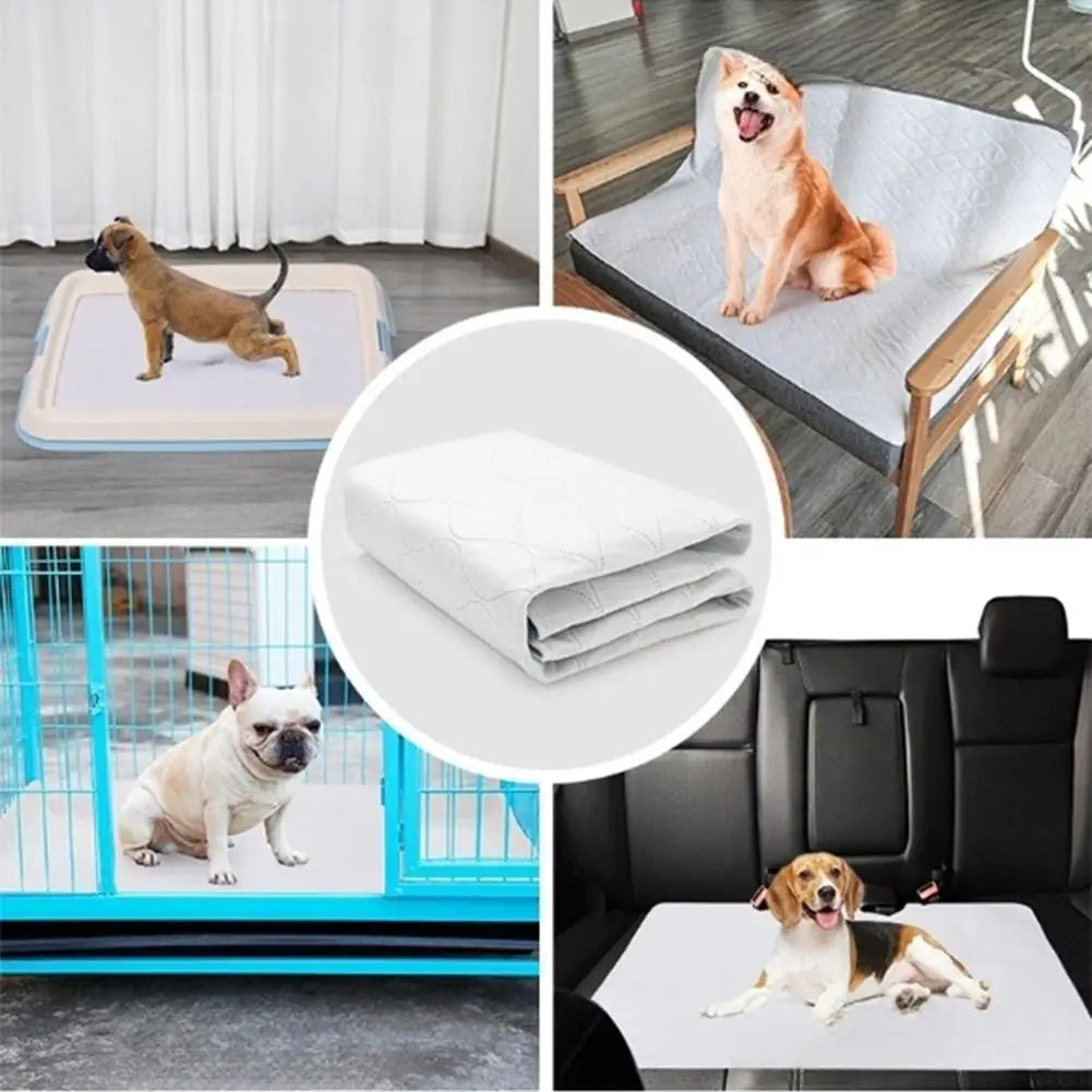 Washable Reusable Pee Pad for Dogs & Cats