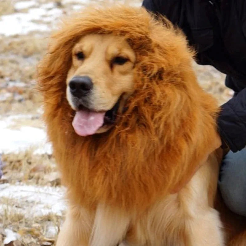 Lion Mane Dog Costume – Realistic Wig with Ears