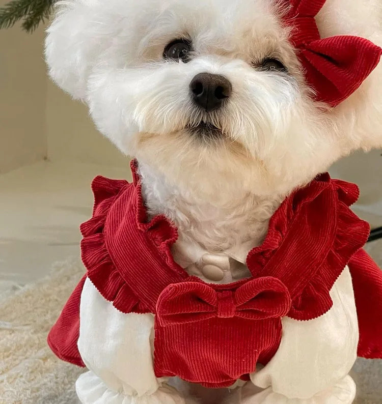 Winter Dog Princess Dress Set – Bow & Clip Included
