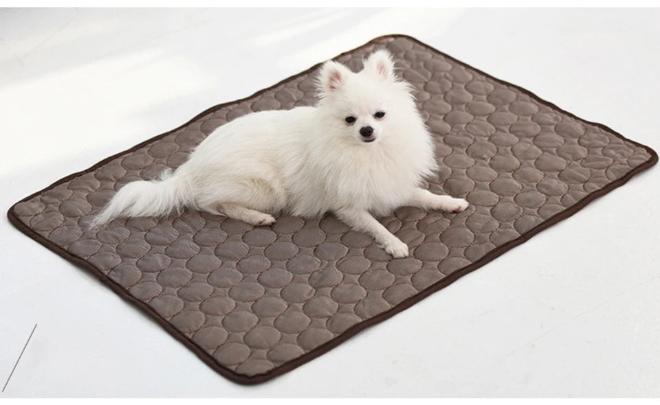 🔥Hot Sale 49% OFF - Dog Cooling Mat (4x more effective)