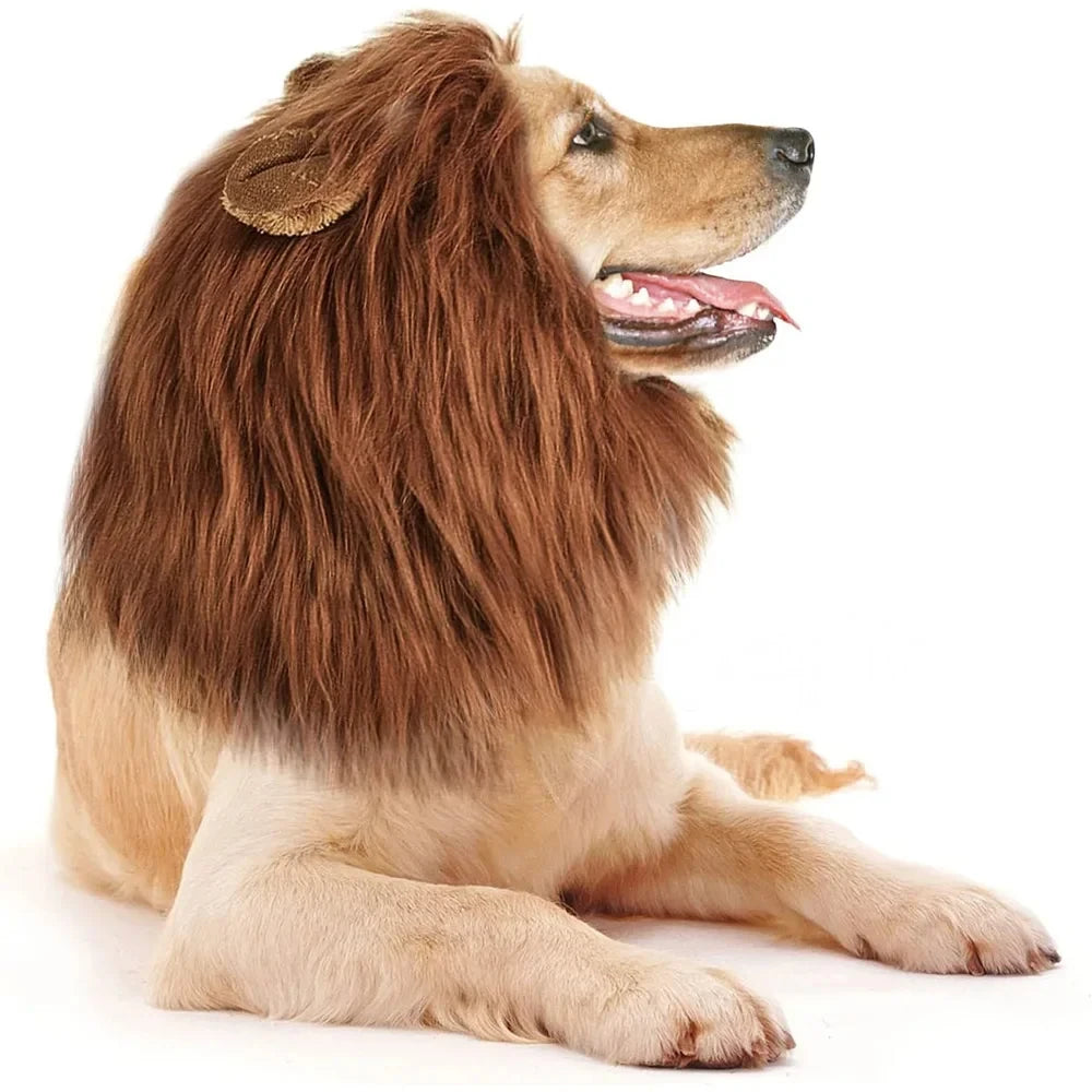 Lion Mane Dog Costume – Realistic Wig with Ears