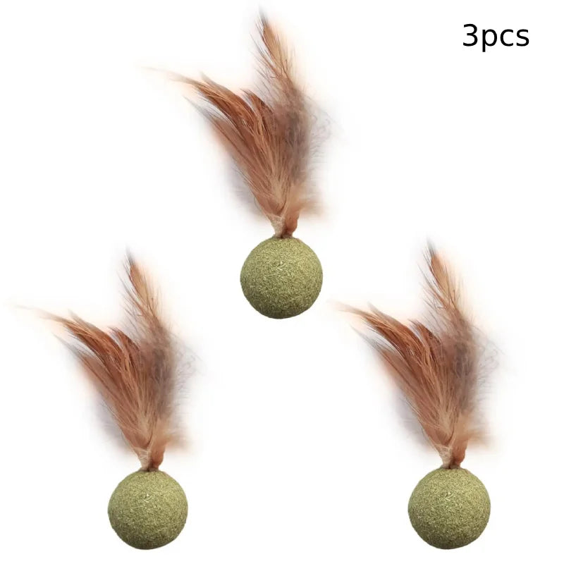 Edible Catnip Ball – Fun & Teeth Cleaning Toy for Cats