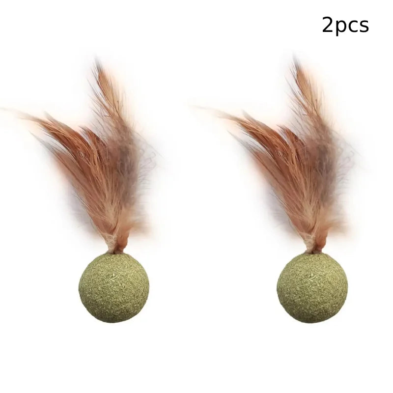 Edible Catnip Ball – Fun & Teeth Cleaning Toy for Cats