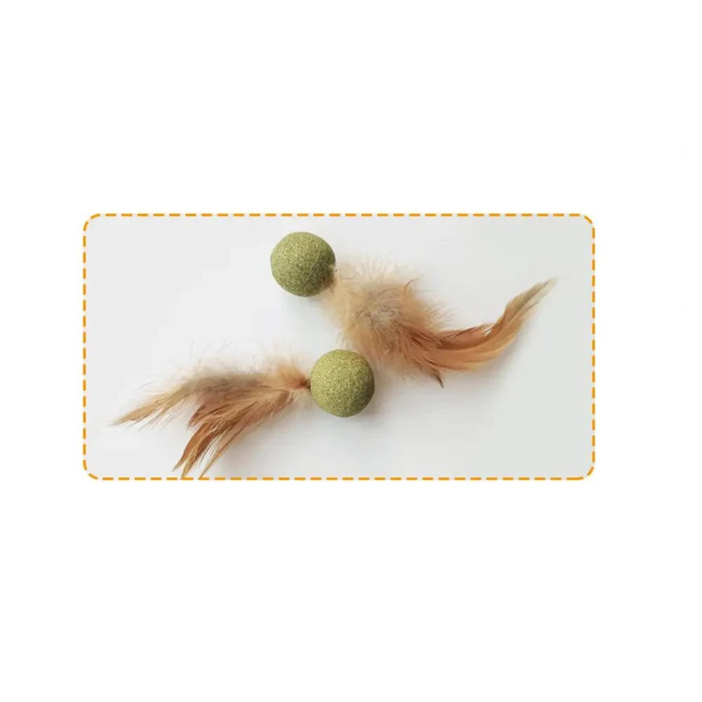 Edible Catnip Ball – Fun & Teeth Cleaning Toy for Cats