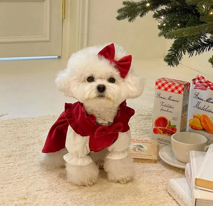 Winter Dog Princess Dress Set – Bow & Clip Included
