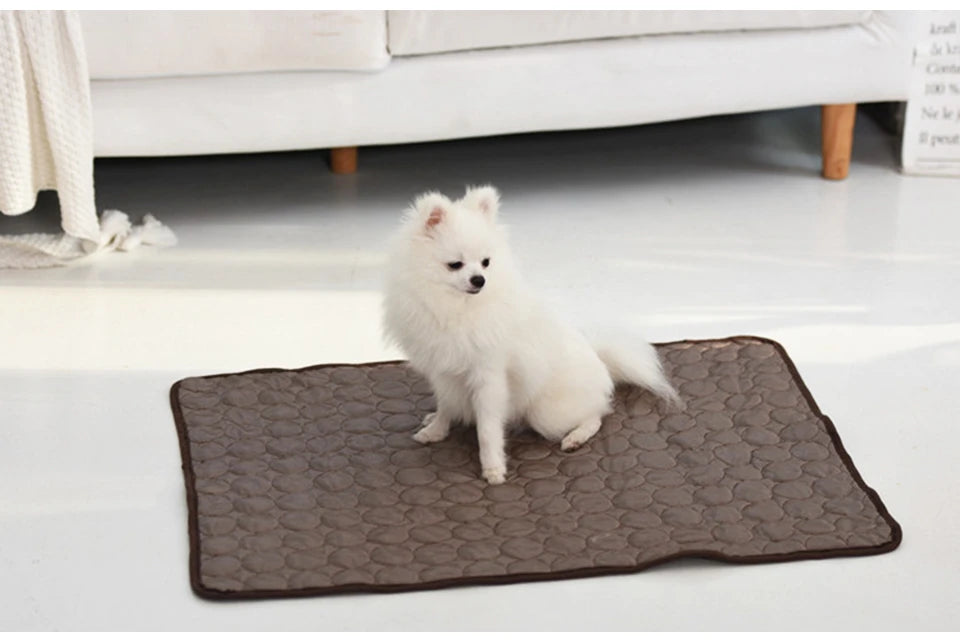 🔥Hot Sale 49% OFF - Dog Cooling Mat (4x more effective)