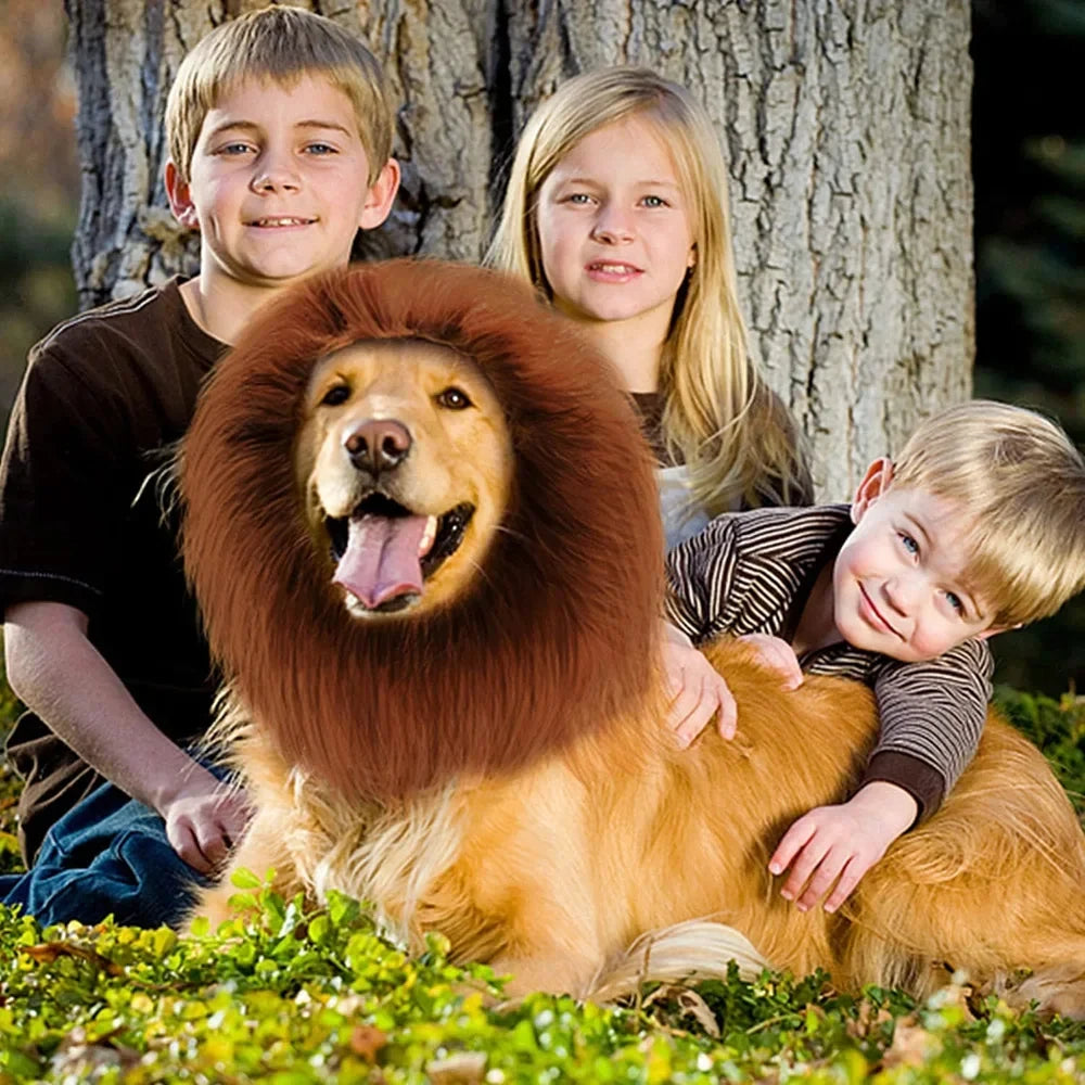 Lion Mane Dog Costume – Realistic Wig with Ears