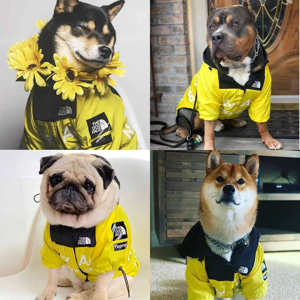 Dog Raincoat Hoodie – Windproof Jacket for Small Breeds
