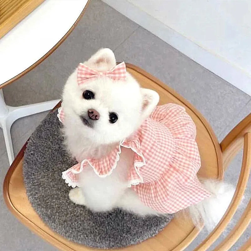 Winter Dog Princess Dress Set – Bow & Clip Included