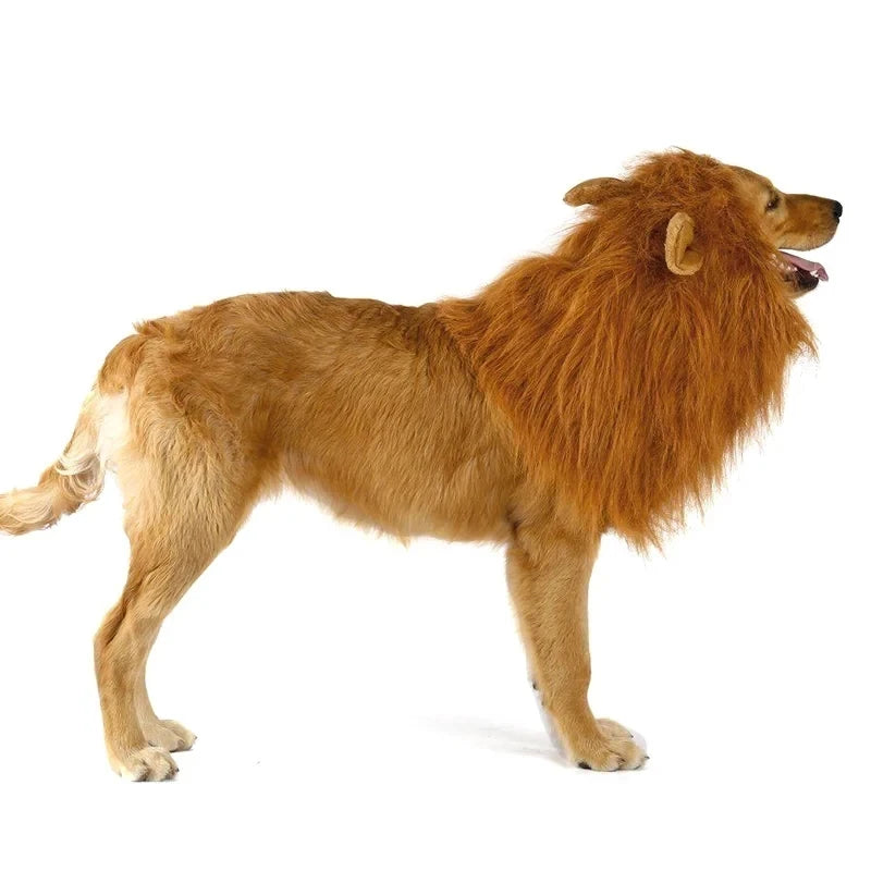 Lion Mane Dog Costume – Realistic Wig with Ears