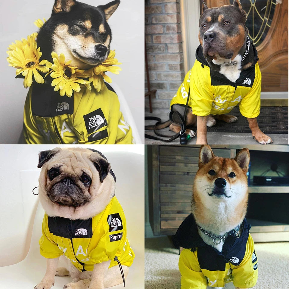 Dog Raincoat Hoodie – Windproof Jacket for Small Breeds
