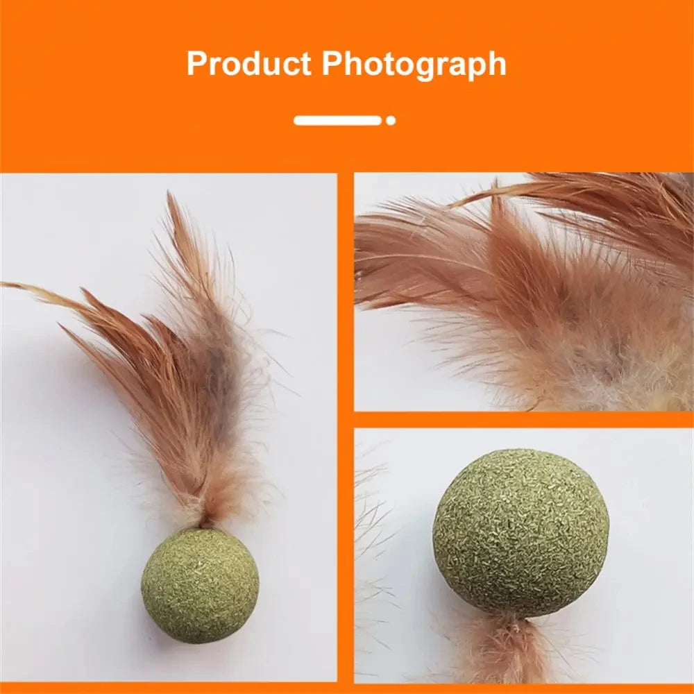 Edible Catnip Ball – Fun & Teeth Cleaning Toy for Cats