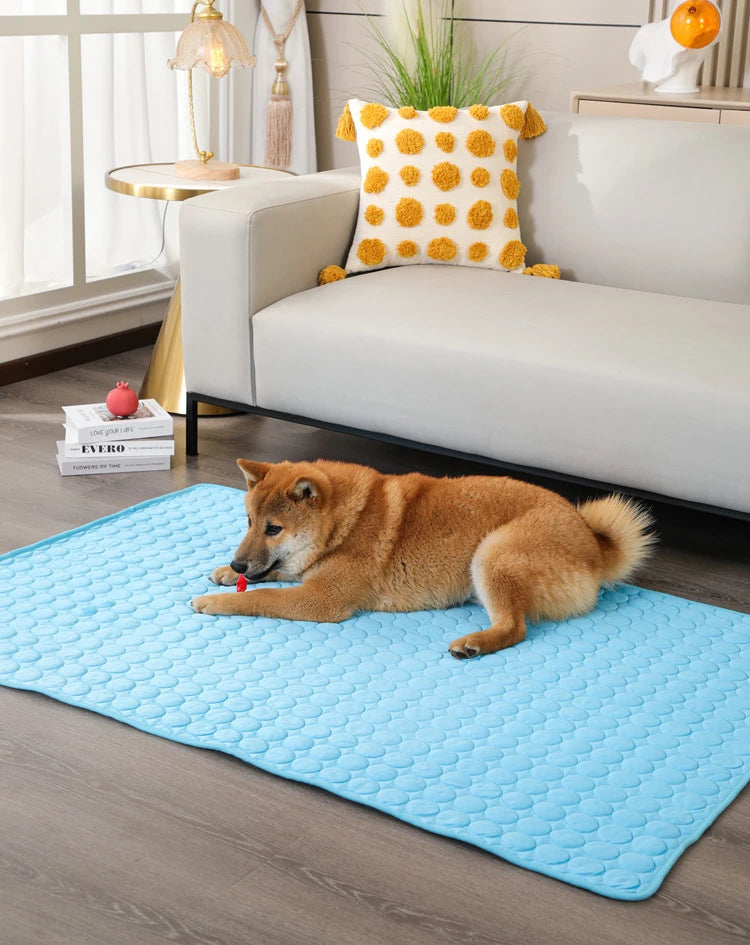 🔥Hot Sale 49% OFF - Dog Cooling Mat (4x more effective)