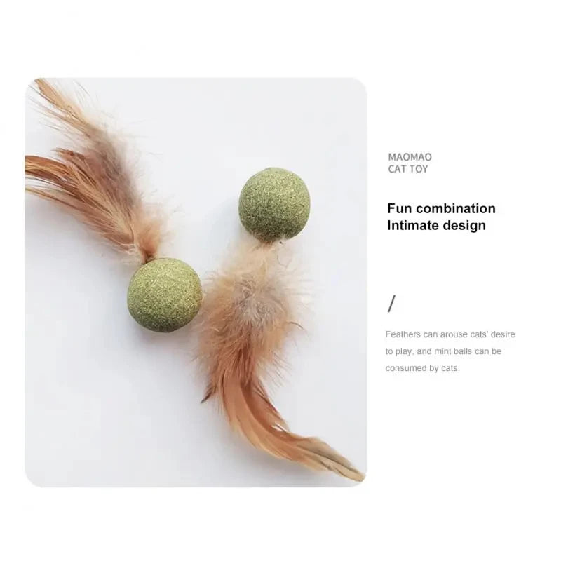 Edible Catnip Ball – Fun & Teeth Cleaning Toy for Cats