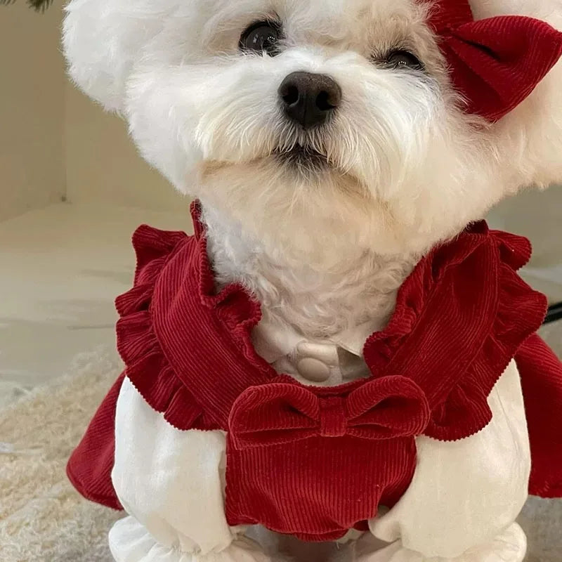 Winter Dog Princess Dress Set – Bow & Clip Included