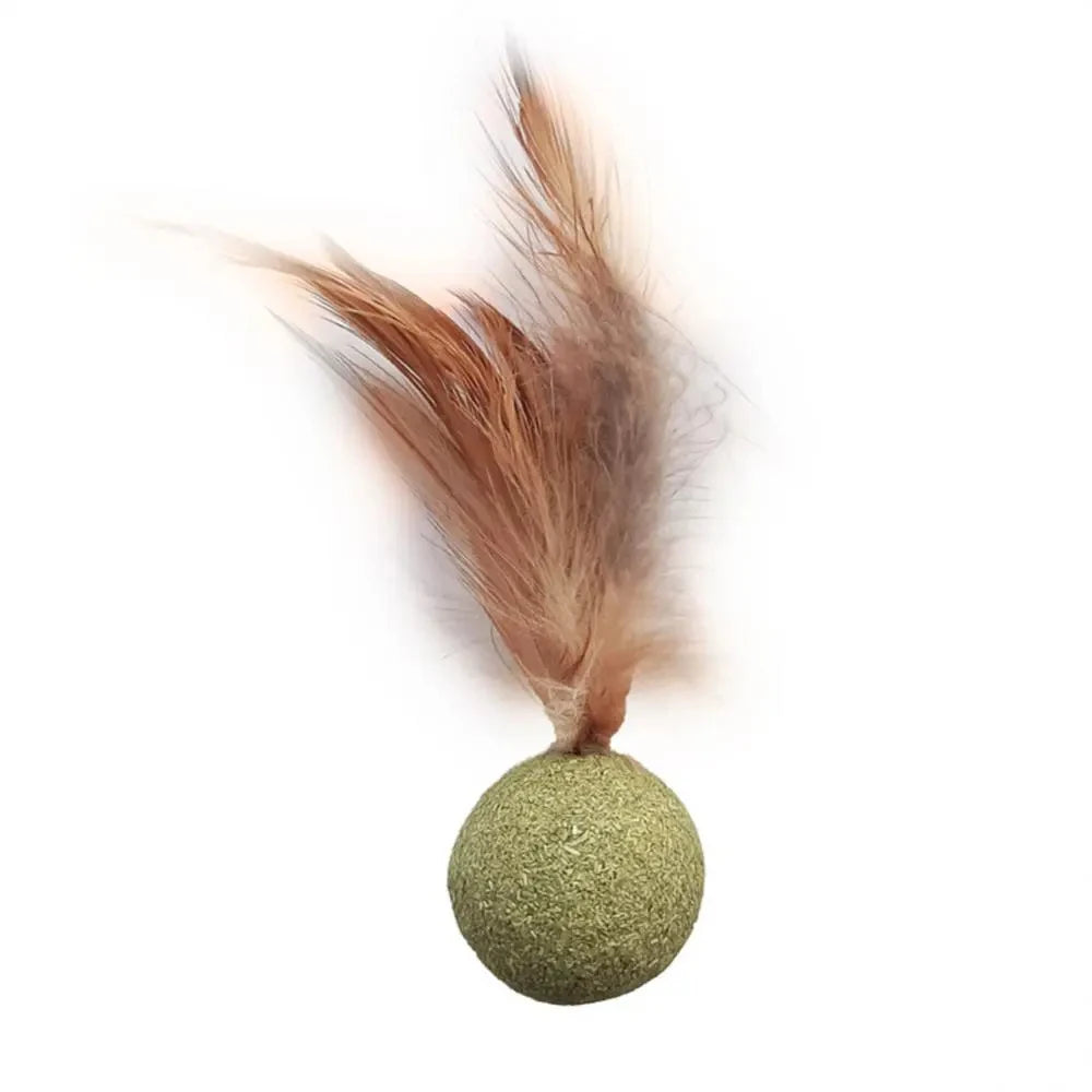Edible Catnip Ball – Fun & Teeth Cleaning Toy for Cats