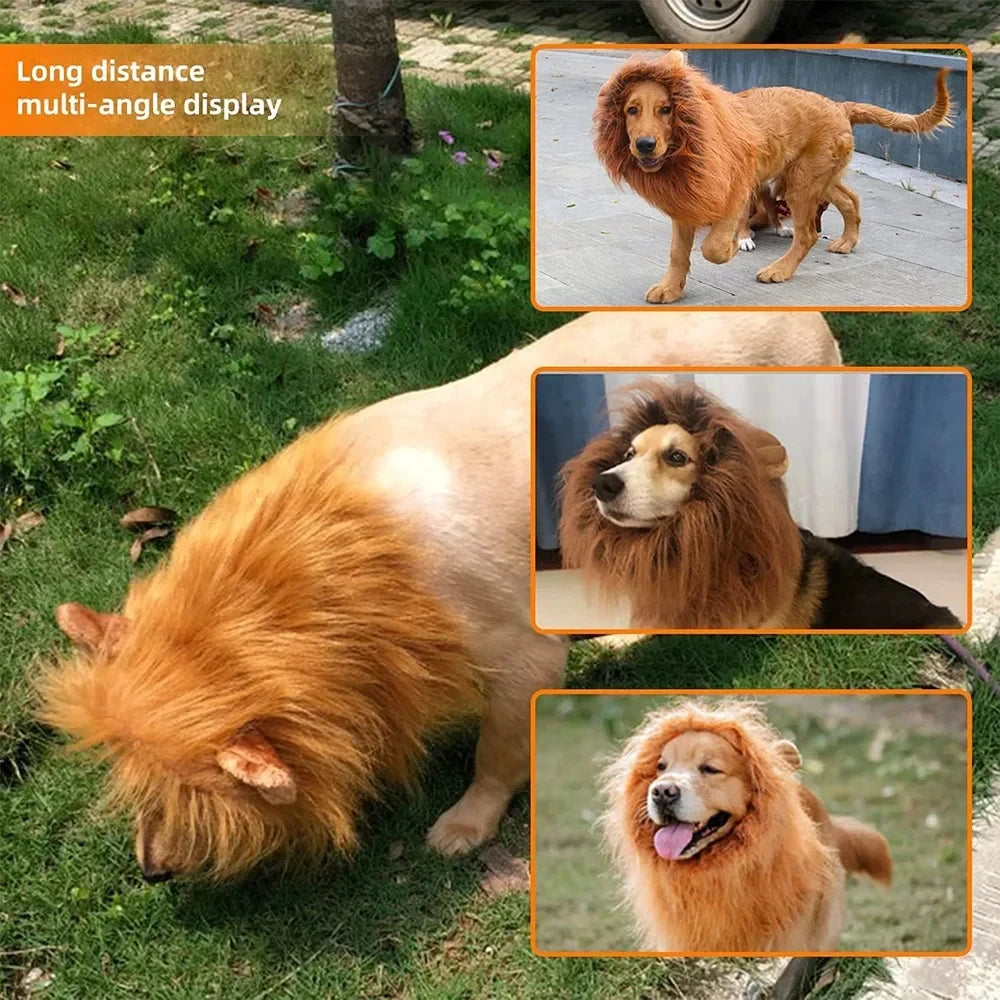 Lion Mane Dog Costume – Realistic Wig with Ears