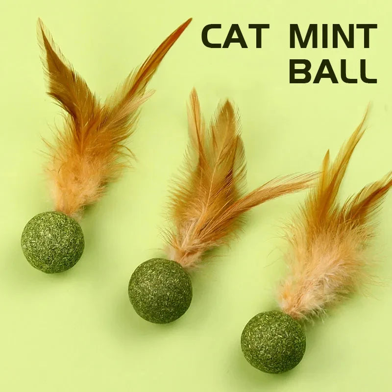 Edible Catnip Ball – Fun & Teeth Cleaning Toy for Cats