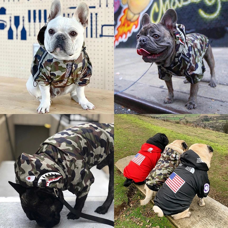 Dog Raincoat Hoodie – Windproof Jacket for Small Breeds
