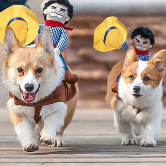 Funny Cowboy Costume for Dogs