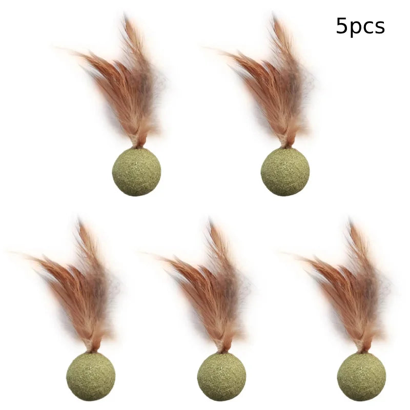 Edible Catnip Ball – Fun & Teeth Cleaning Toy for Cats