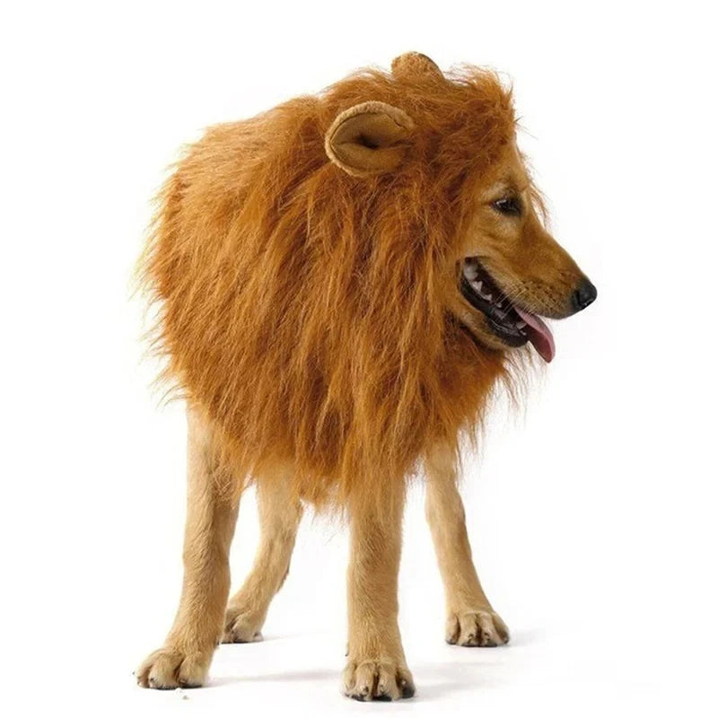 Lion Mane Dog Costume – Realistic Wig with Ears