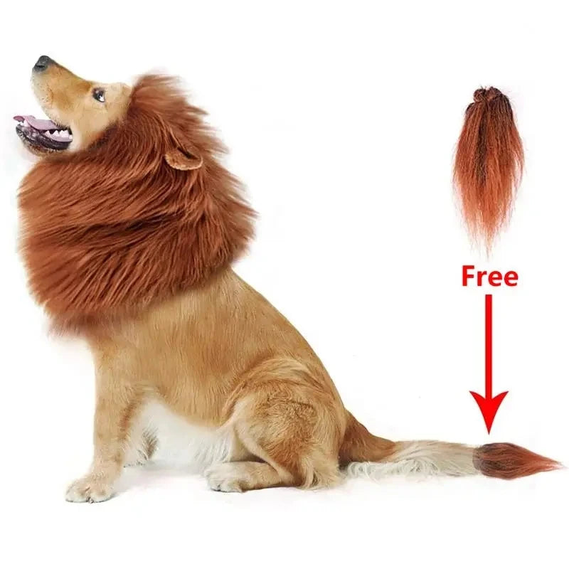 Lion Mane Dog Costume – Realistic Wig with Ears