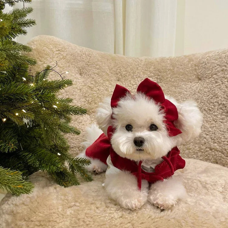 Winter Dog Princess Dress Set – Bow & Clip Included