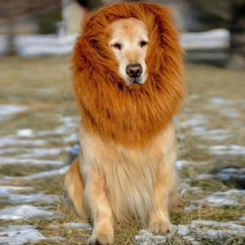 Lion Mane Dog Costume – Realistic Wig with Ears