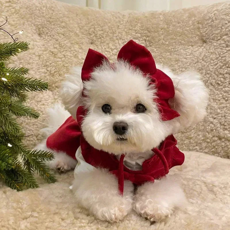 Winter Dog Princess Dress Set – Bow & Clip Included