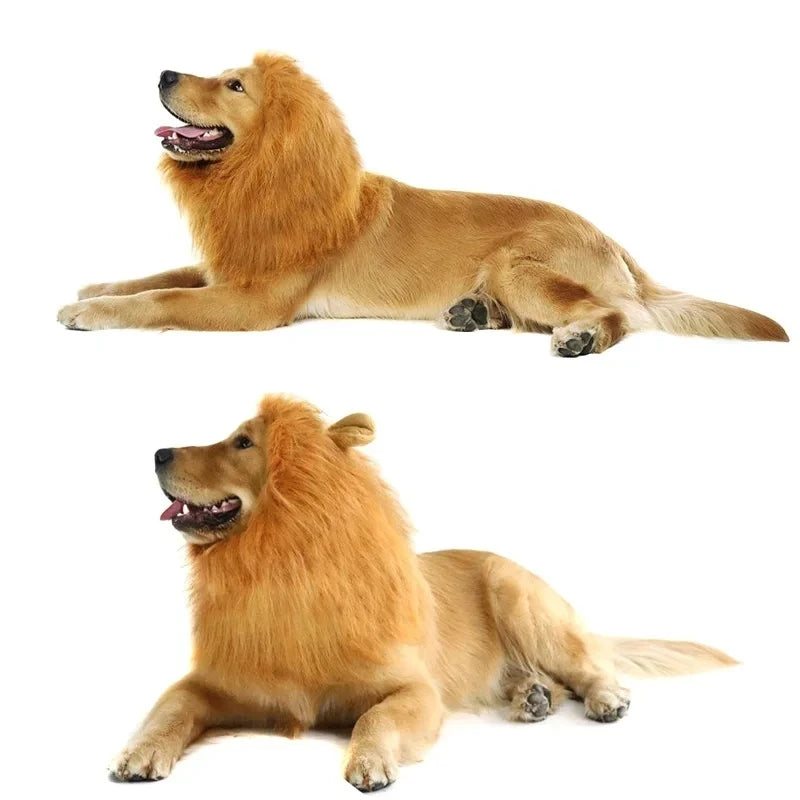 Lion Mane Dog Costume – Realistic Wig with Ears