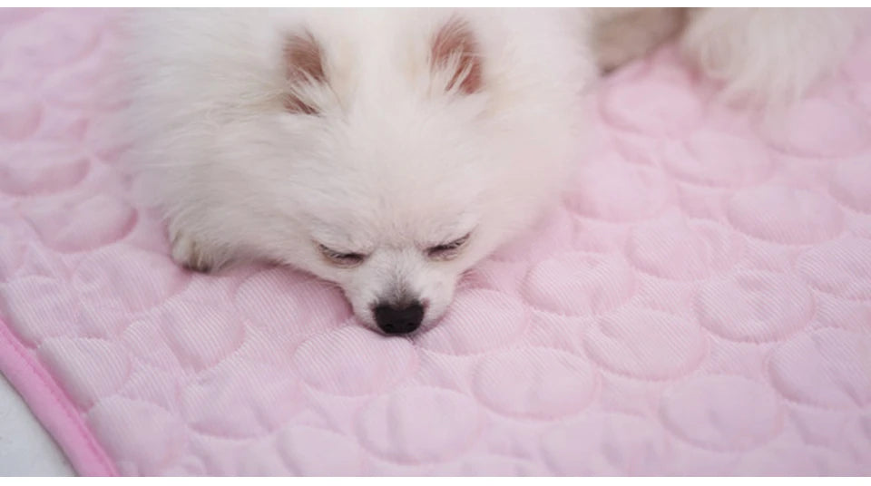 🔥Hot Sale 49% OFF - Dog Cooling Mat (4x more effective)