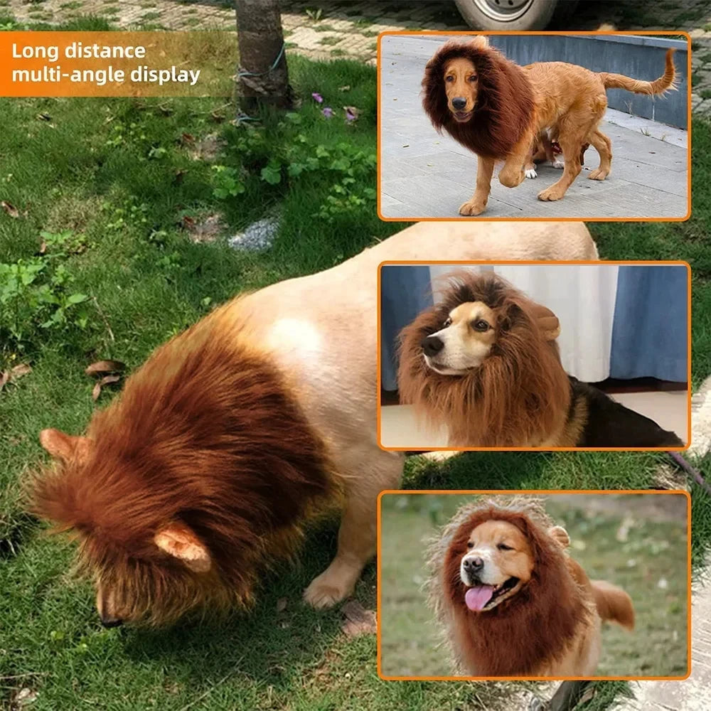 Lion Mane Dog Costume – Realistic Wig with Ears