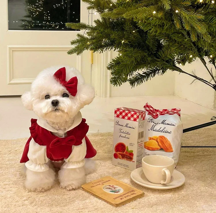 Winter Dog Princess Dress Set – Bow & Clip Included