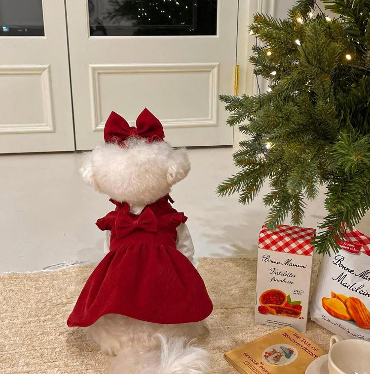 Winter Dog Princess Dress Set – Bow & Clip Included