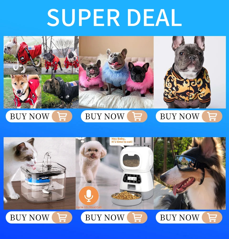 Dog Raincoat Hoodie – Windproof Jacket for Small Breeds