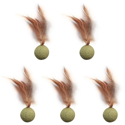 Edible Catnip Ball – Fun & Teeth Cleaning Toy for Cats