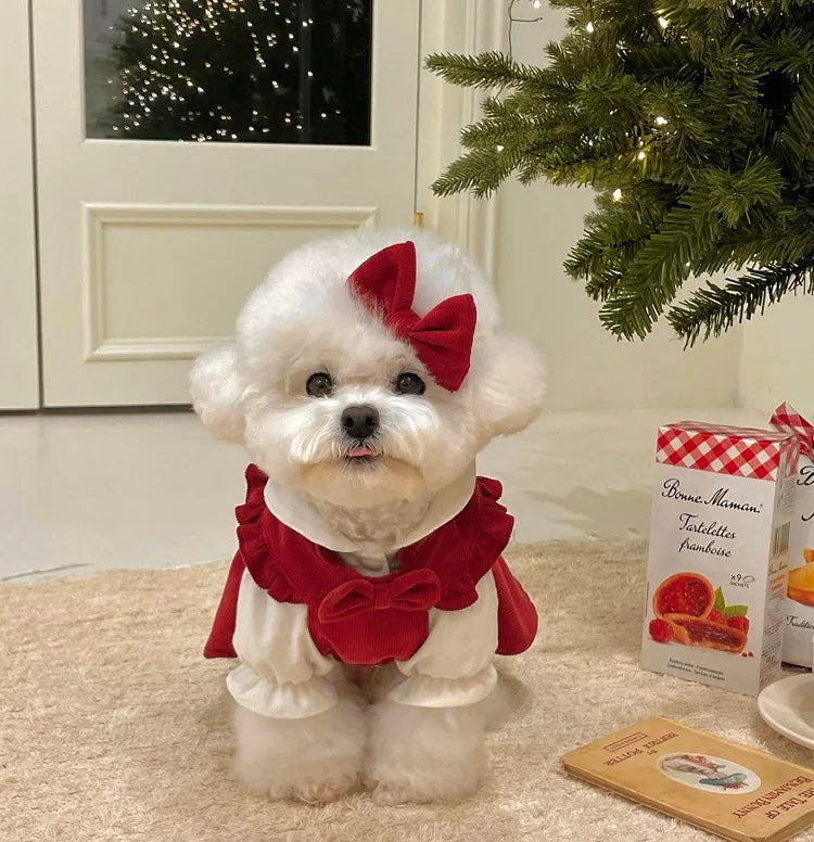 Winter Dog Princess Dress Set – Bow & Clip Included